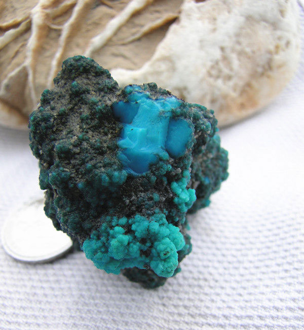 首页-PP视讯厅真人官方网站