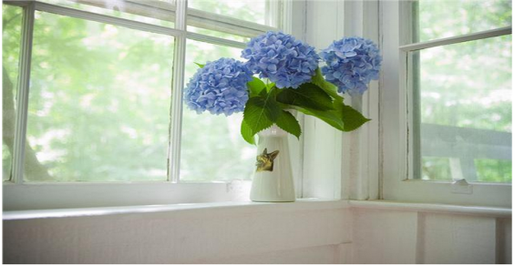 首页-PP视讯厅真人官方网站