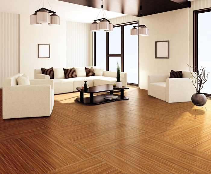 最美，不外当阳光赶上丛林