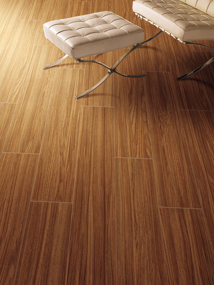 最美，不外当阳光赶上丛林