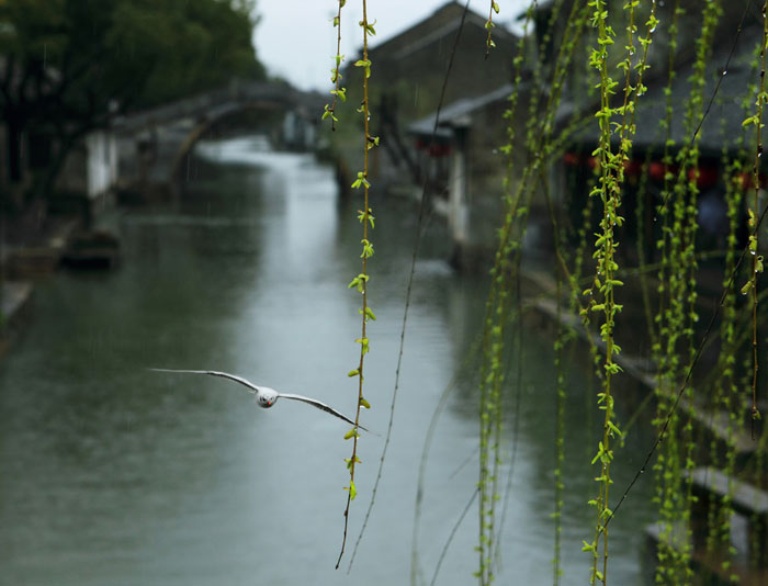 首页-PP视讯厅真人官方网站