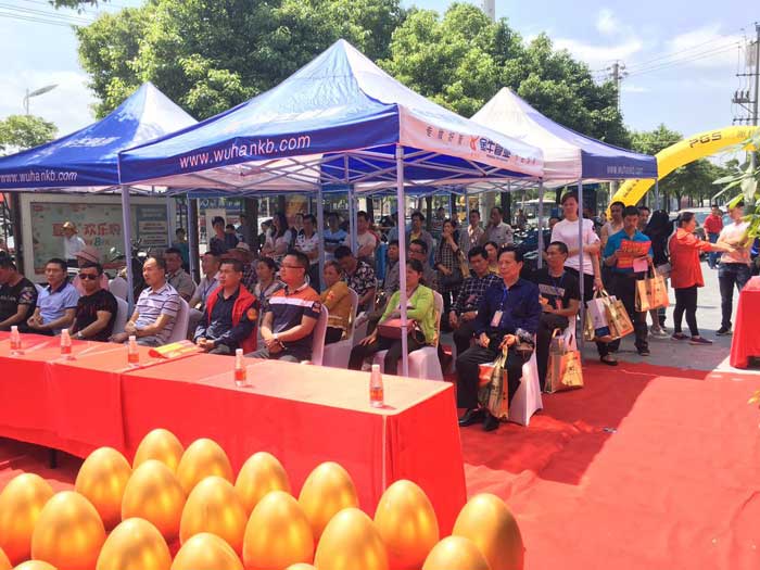 PP视讯瓷砖 瓷砖代理 陶瓷一线品牌