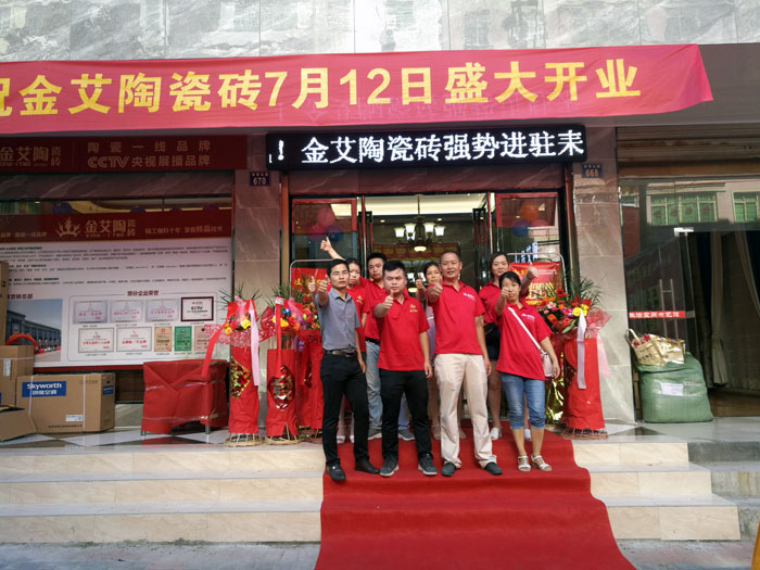 PP视讯瓷砖 瓷砖代理 陶瓷一线品牌 开业促销