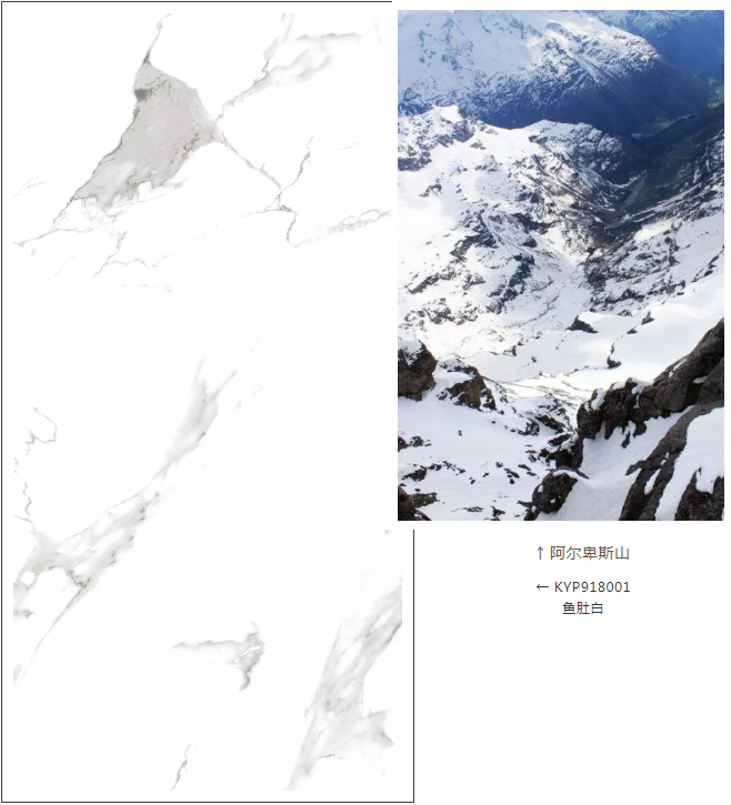 首页-PP视讯厅真人官方网站