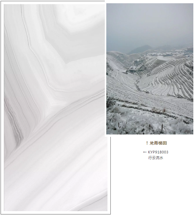 首页-PP视讯厅真人官方网站