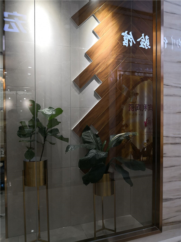 PP视讯深圳沙井青春馆